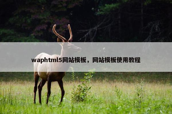 waphtml5网站模板，网站模板使用教程