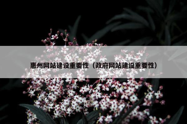 惠州网站建设重要性（政府网站建设重要性）