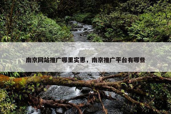 南京网站推广哪里实惠，南京推广平台有哪些