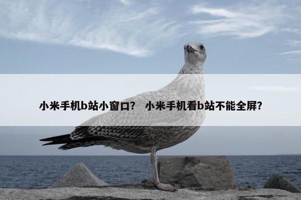 小米手机b站小窗口？ 小米手机看b站不能全屏？