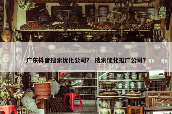 广东抖音搜索优化公司？ 搜索优化推广公司？