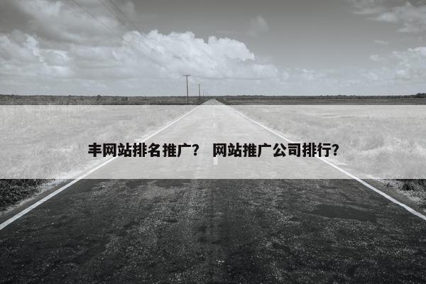 丰网站排名推广？ 网站推广公司排行？