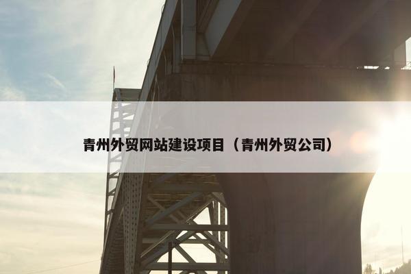 青州外贸网站建设项目（青州外贸公司）