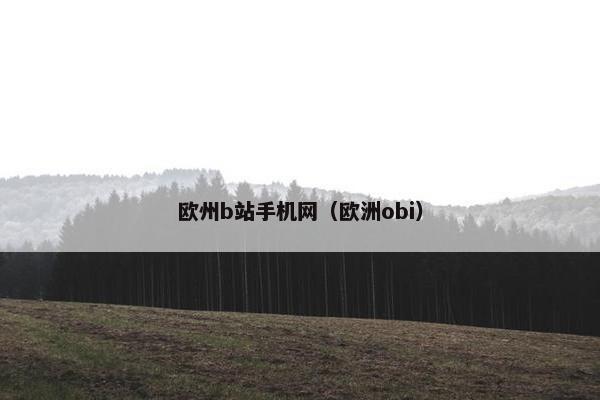 欧州b站手机网（欧洲obi）