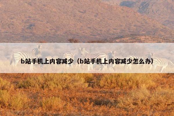 b站手机上内容减少（b站手机上内容减少怎么办）