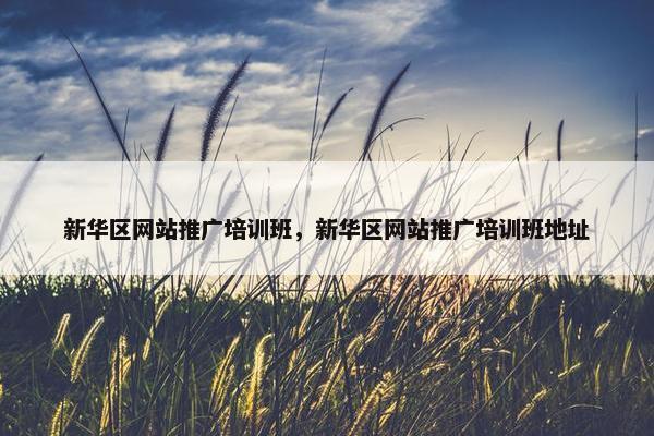 新华区网站推广培训班，新华区网站推广培训班地址