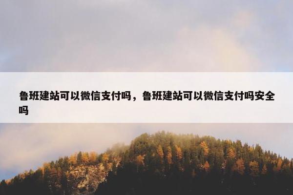 鲁班建站可以微信支付吗，鲁班建站可以微信支付吗安全吗