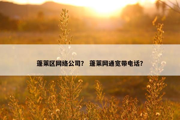 蓬莱区网络公司？ 蓬莱网通宽带电话？