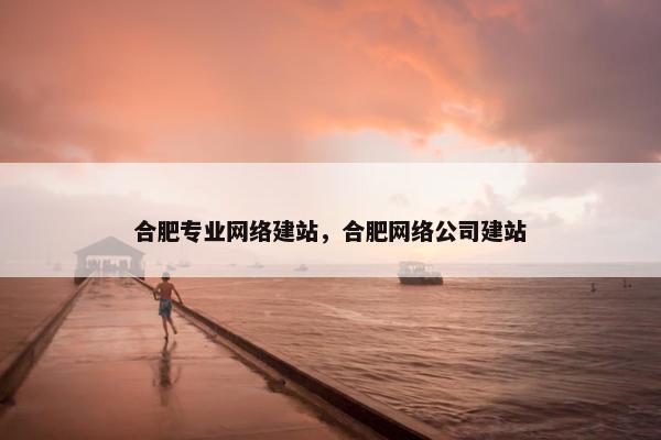 合肥专业网络建站，合肥网络公司建站