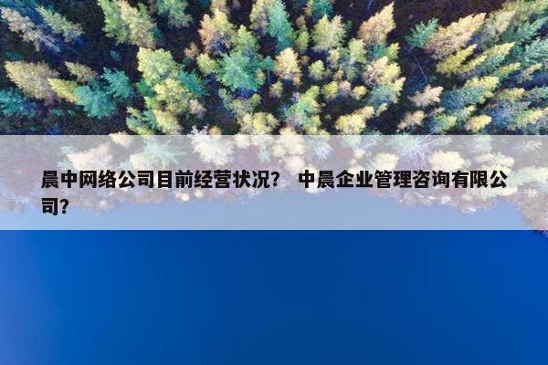 晨中网络公司目前经营状况？ 中晨企业管理咨询有限公司？