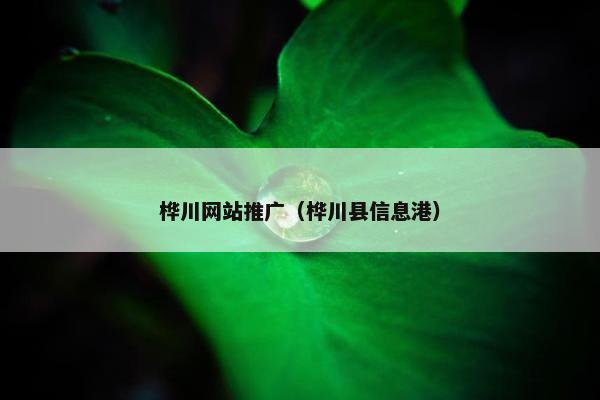 桦川网站推广（桦川县信息港）