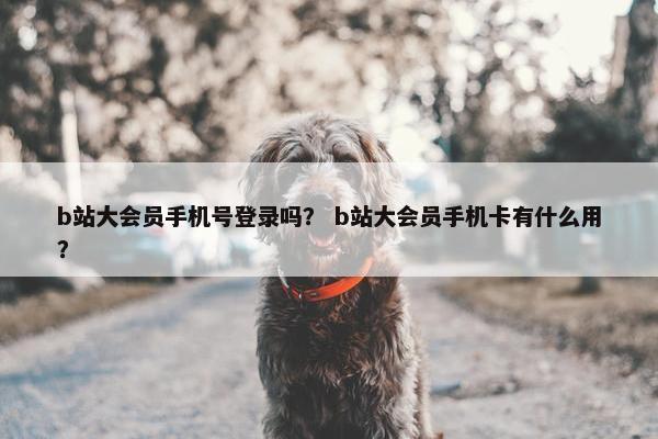 b站大会员手机号登录吗？ b站大会员手机卡有什么用？