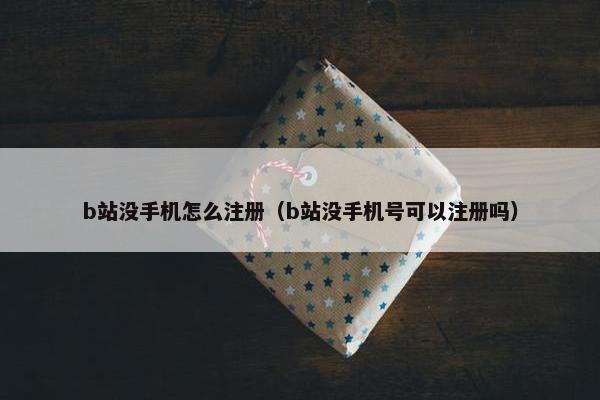 b站没手机怎么注册（b站没手机号可以注册吗）