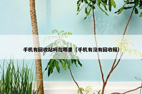 手机有回收站吗在哪里（手机有没有回收箱）