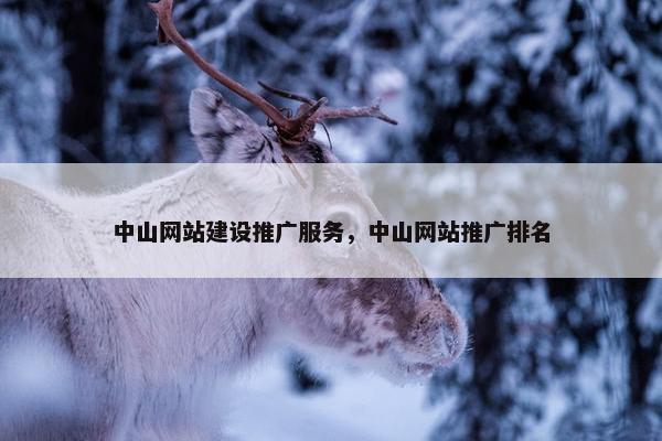 中山网站建设推广服务，中山网站推广排名
