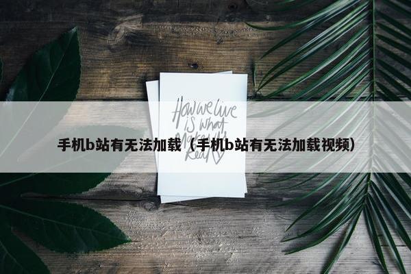 手机b站有无法加载（手机b站有无法加载视频）