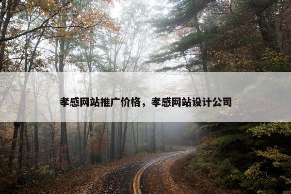 孝感网站推广价格，孝感网站设计公司