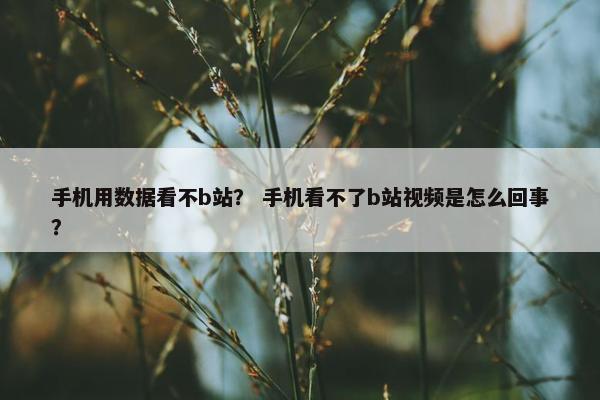 手机用数据看不b站？ 手机看不了b站视频是怎么回事？