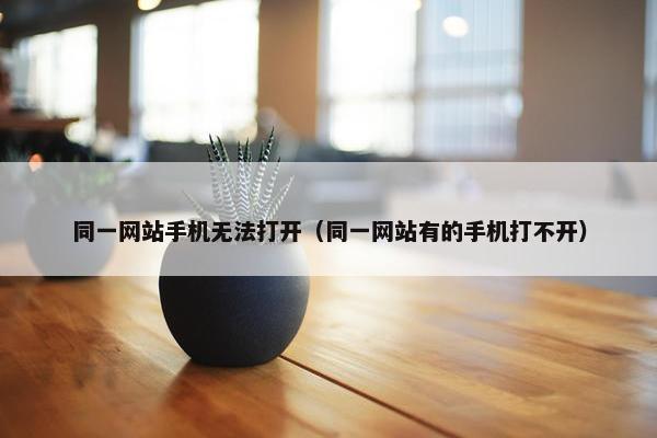 同一网站手机无法打开（同一网站有的手机打不开）