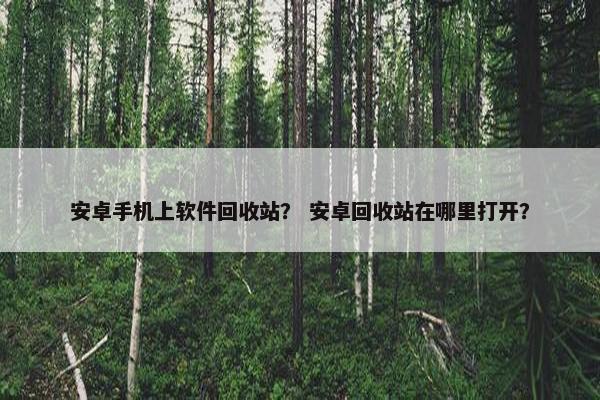 安卓手机上软件回收站？ 安卓回收站在哪里打开？