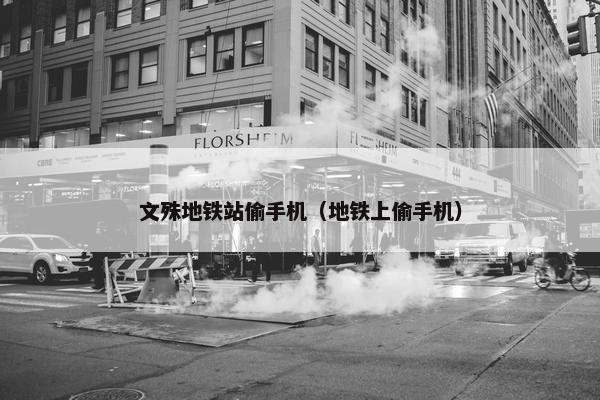 文殊地铁站偷手机（地铁上偷手机）