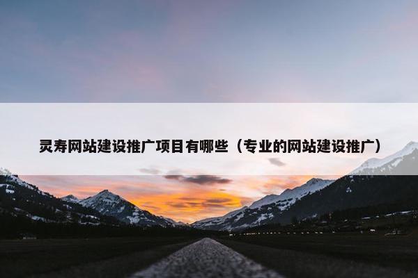 灵寿网站建设推广项目有哪些（专业的网站建设推广）
