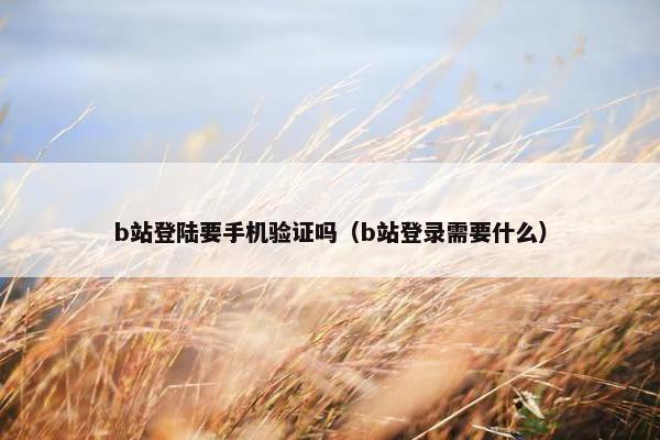 b站登陆要手机验证吗（b站登录需要什么）