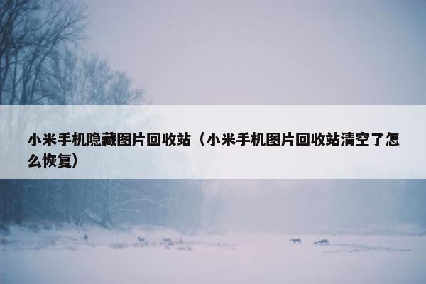 小米手机隐藏图片回收站（小米手机图片回收站清空了怎么恢复）