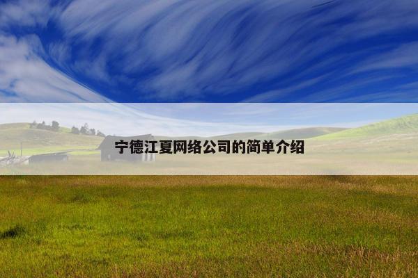 宁德江夏网络公司的简单介绍