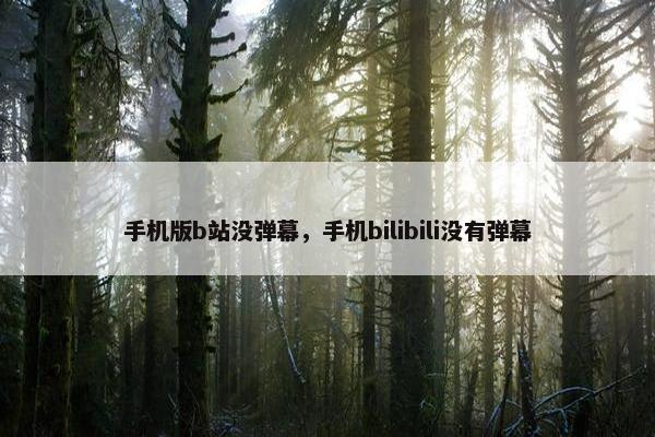 手机版b站没弹幕，手机bilibili没有弹幕