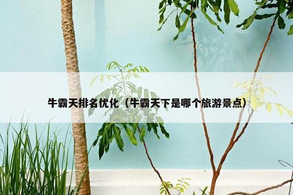 牛霸天排名优化（牛霸天下是哪个旅游景点）