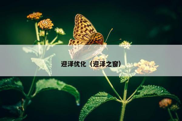 迎泽优化（迎泽之窗）