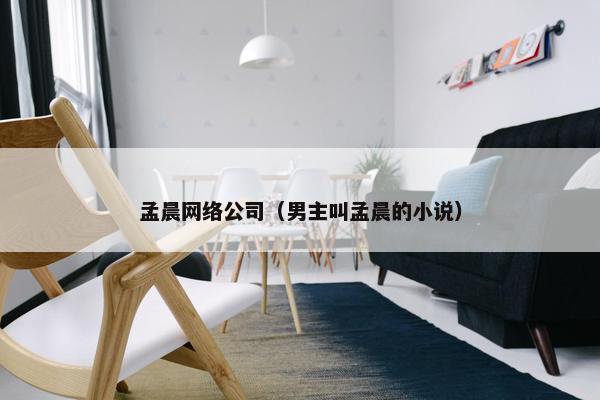 孟晨网络公司（男主叫孟晨的小说）