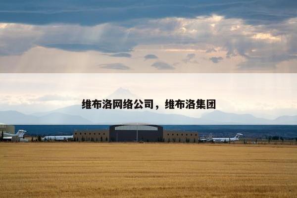维布洛网络公司，维布洛集团