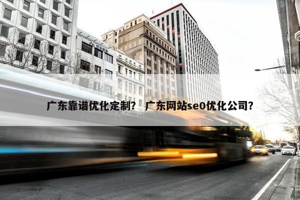 广东靠谱优化定制？ 广东网站se0优化公司？