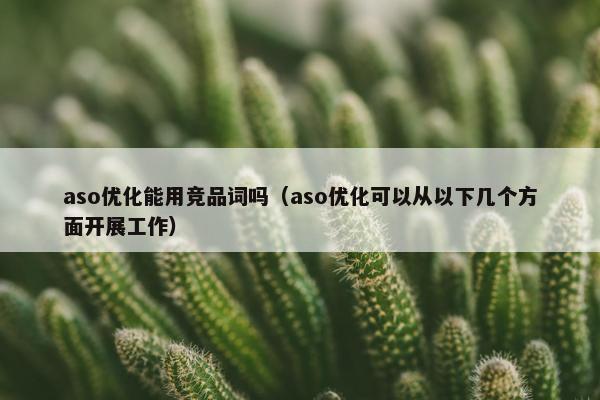 aso优化能用竞品词吗（aso优化可以从以下几个方面开展工作）