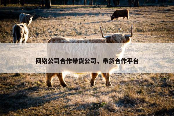 网络公司合作带货公司，带货合作平台