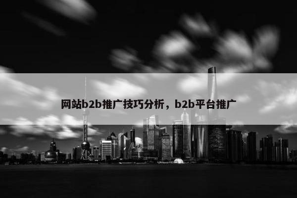 网站b2b推广技巧分析，b2b平台推广