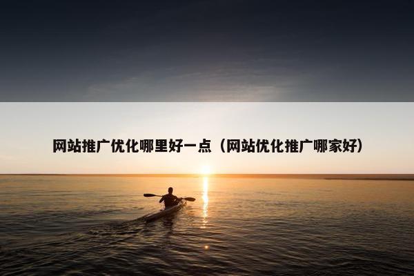网站推广优化哪里好一点（网站优化推广哪家好）