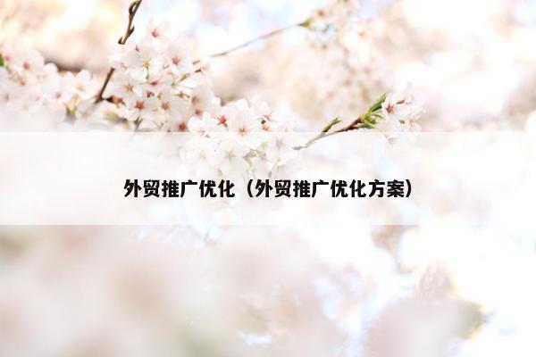 外贸推广优化（外贸推广优化方案）