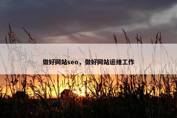 做好网站seo，做好网站运维工作