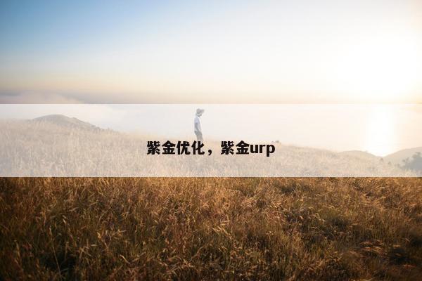 紫金优化，紫金urp