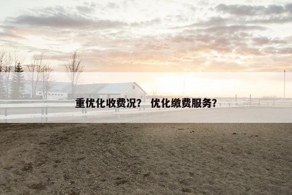 重优化收费况？ 优化缴费服务？
