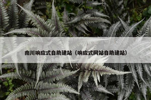 南川响应式自助建站（响应式网站自助建站）