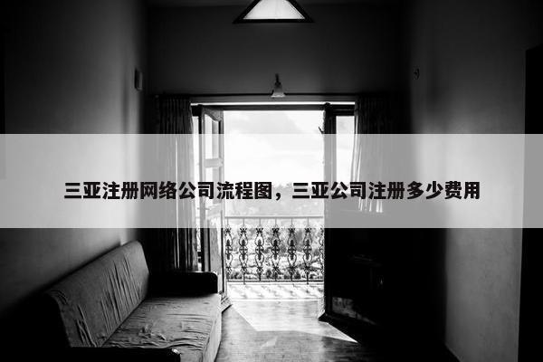 三亚注册网络公司流程图，三亚公司注册多少费用