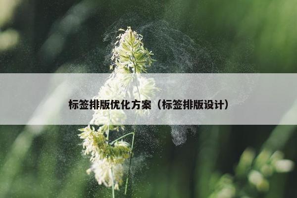 标签排版优化方案（标签排版设计）