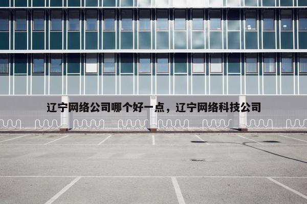 辽宁网络公司哪个好一点，辽宁网络科技公司