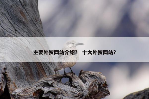 主要外贸网站介绍？ 十大外贸网站？