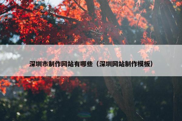 深圳市制作网站有哪些（深圳网站制作模板）