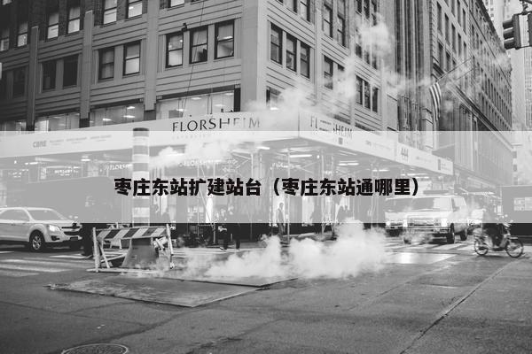 枣庄东站扩建站台（枣庄东站通哪里）